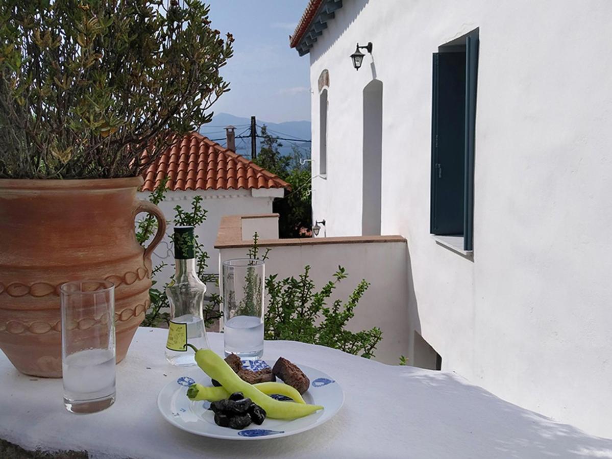 Anemone Vila Poros Town